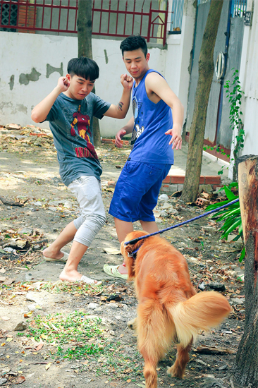 Trở về tuổi thơ cùng phở