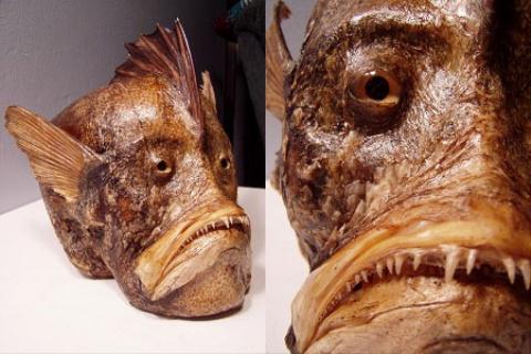 Thực hư quái vật người cá được rao bán cả nghìn USD