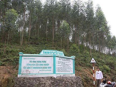 Tập đoàn Innov Green (Hồng Kông, Trung Quốc) được cấp phép thuê đất 50 năm trồng rừng nguyên liệu tại Quảng Ninh, Nghệ An, Quảng Nam, Lạng Sơn, Kon Tum