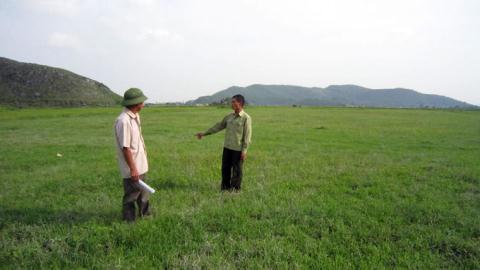 Ruộng của bà con nông dân xã Thiệu Giao, huyện Thiệu Hóa, Thanh Hóa bỏ hoang cho cỏ mọc nhiều năm nay