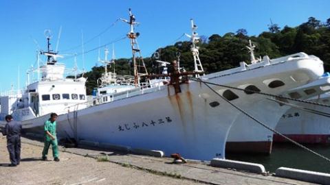 Đây là một trong những con tàu được CTCP Đức Khải mua lại từ Nhật Bản