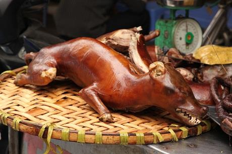 Nhiều vụ người dân bức xúc đánh chết trộm chó nhưng thịt chó vẫn là món khoái khẩu của nhiều người Việt