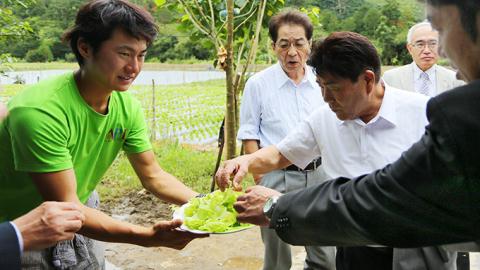 Đoàn công tác Nhật Bản ăn thử rau do kỹ sư Nhật Bản và Việt Nam phối hợp trồng tại dự án “Làng thần kỳ” Đà Lạt