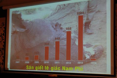 Những con số đang báo động về tình trạng giết hại tê giác tại Nam Phi từ năm 2007 tới tháng 8/2014