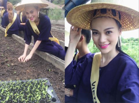 Hoa hậu Quốc tế 2014: Cao Thuỳ Linh thử nghiệm làm nông dân