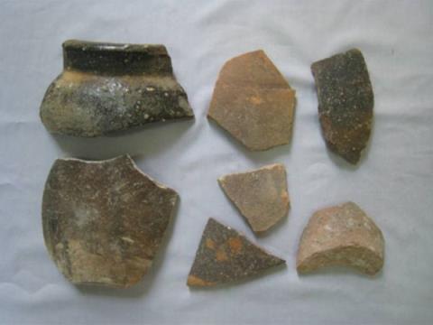 Hiện vật thu được tại đảo Trường Sa Lớn trong đợt khai quật khảo cổ học cuối tháng Sáu