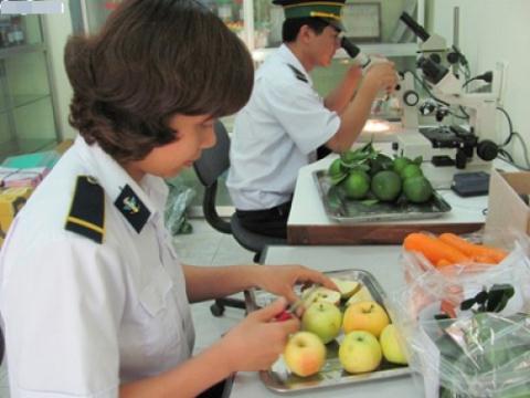 Việc kiểm tra trái cây nhập khẩu của Việt Nam hoàn toàn theo thông lệ quốc tế 