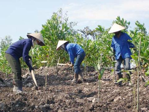 Người Việt cần cù nhưng chưa sáng tạo