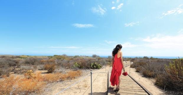         “Phía nào đến chân trời” còn giới thiệu một nhạc phẩm nữa cũng của nhạc sĩ Việt Anh - ca khúc “Hai chúng ta”.     