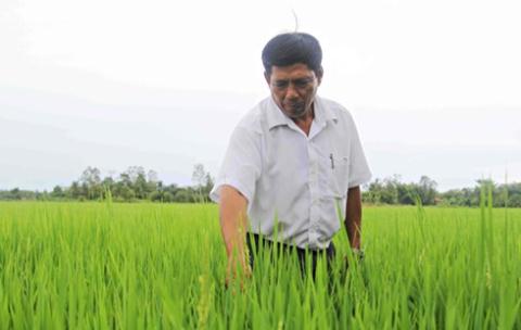 'Xuất khẩu' nông dân: Sang Lào làm chuyên gia, lương 20 triệu/tháng