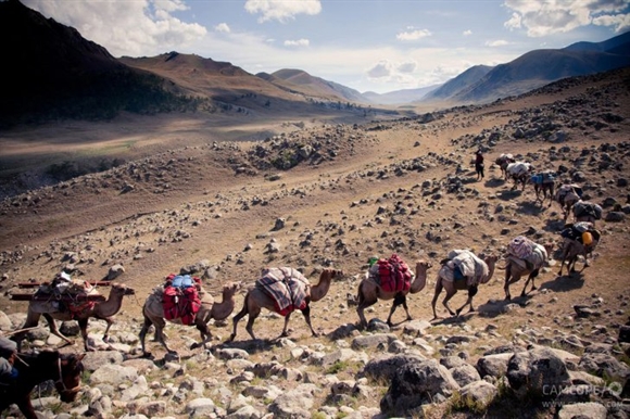 Đoàn lạc đà di chuyển trong Thung lũng Kharkhiraa.