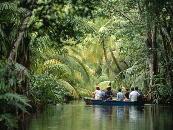 Du lịch rừng rậm nhiệt đới ở Dominica.