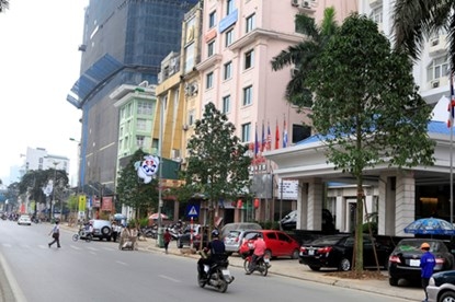 Bà Chu Thị Lợi, bán quán nước gần khách sạn Bảo Sơn (Nguyễn Chí Thanh, HN), ngạc nhiên thốt lên: “Thần kì thật! 6h chiều hôm qua (22/3) tôi còn thấy mấy cây này trơ trụi lá, vậy mà 7h sáng nay (23/3) cây đã xanh tốt, cành lá xum xuê, thân cây khác hẳn so với những cây được thay thế mấy ngày trước.” Bà Chu Thị Lợi, bán quán nước gần khách sạn Bảo Sơn (Nguyễn Chí Thanh, HN), ngạc nhiên thốt lên: “Thần kì thật! 6h chiều hôm qua (22/3) tôi còn thấy mấy cây này trơ trụi lá, vậy mà 7h sáng nay (23/3) cây đã xanh tốt, cành lá xum xuê, thân cây khác hẳn so với những cây được thay thế mấy ngày trước.”