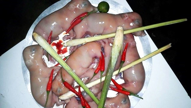 Gần đây nhiều quý ông Việt rỉ tai nhau một loại đặc sản mới đó là chuột bao tử. Gần đây nhiều quý ông Việt rỉ tai nhau một loại đặc sản mới đó là chuột bao tử.