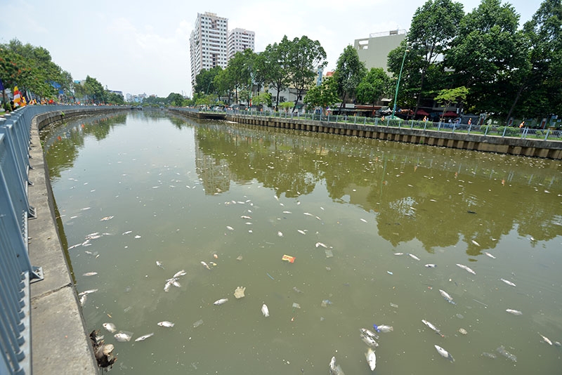 Theo người dân sinh sống quanh khu vực kênh Nhiêu Lộc - Thị Nghè, vài ngày trước, tại con kênh này cũng xuất hiện cá chết, nhưng chỉ lác đác vài con. Tới sáng nay thì cá đã chết nổi đầy kênh. Theo người dân sinh sống quanh khu vực kênh Nhiêu Lộc - Thị Nghè, vài ngày trước, tại con kênh này cũng xuất hiện cá chết, nhưng chỉ lác đác vài con. Tới sáng nay thì cá đã chết nổi đầy kênh.