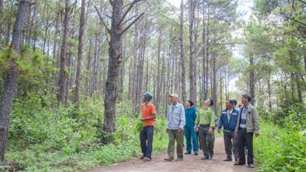 Mỹ giúp Việt Nam Quản lý rừng-Bảo tồn đa dạng sinh học
