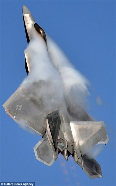 Phi công Hornet 1 nói với các nhà điều tra: \ Phi công Hornet 1 nói với các nhà điều tra: \